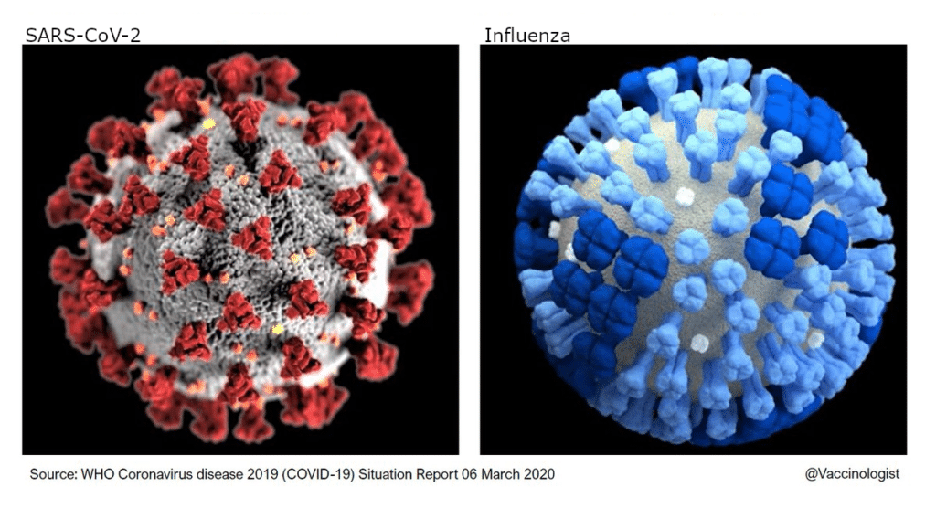 A SARS-CoV-2 és az influenza vírusa