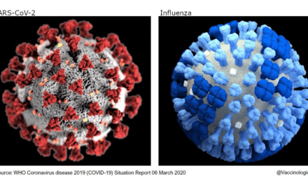 A COVID19 és a szezonális influenza által okozott halálozások helyzetértékelése