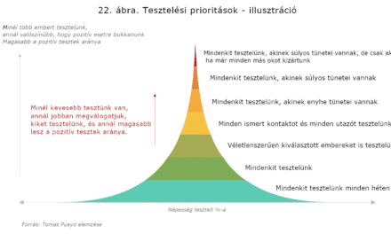 A koronavírus: tesztelés és kontaktkutatás – de hogyan?