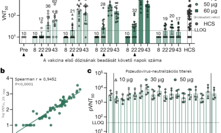 A BNT162b1 COVID19 vakcina humán antitest- és TH1 T-sejt-választ vált ki